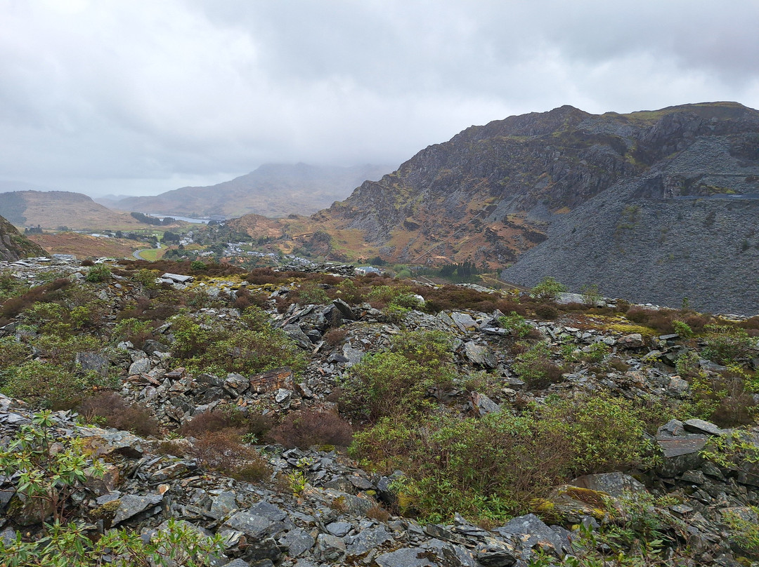 Zip World Llechwedd-Blaenau Ffestiniog必去景点