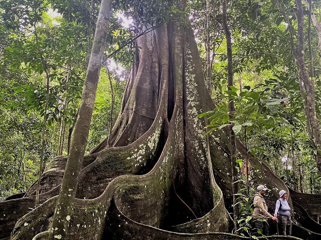 Amaselva Tours - Colombia Amazon-Puerto Narino必去景点