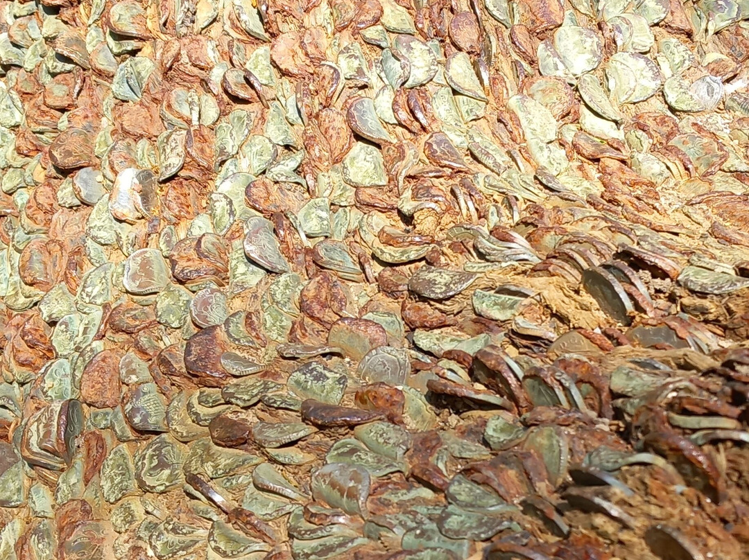 英格尔顿瀑布步道-Ingleton必去景点