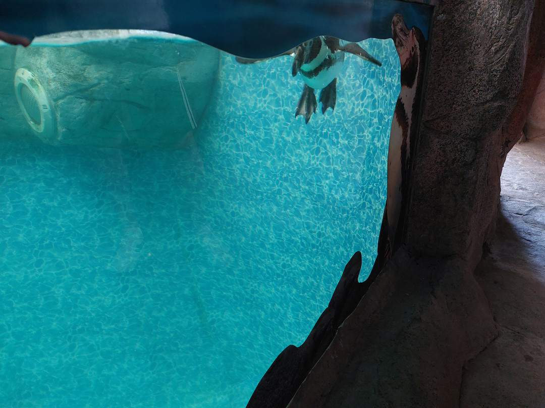 Ocean Aquarium-普它肋斯必去景点