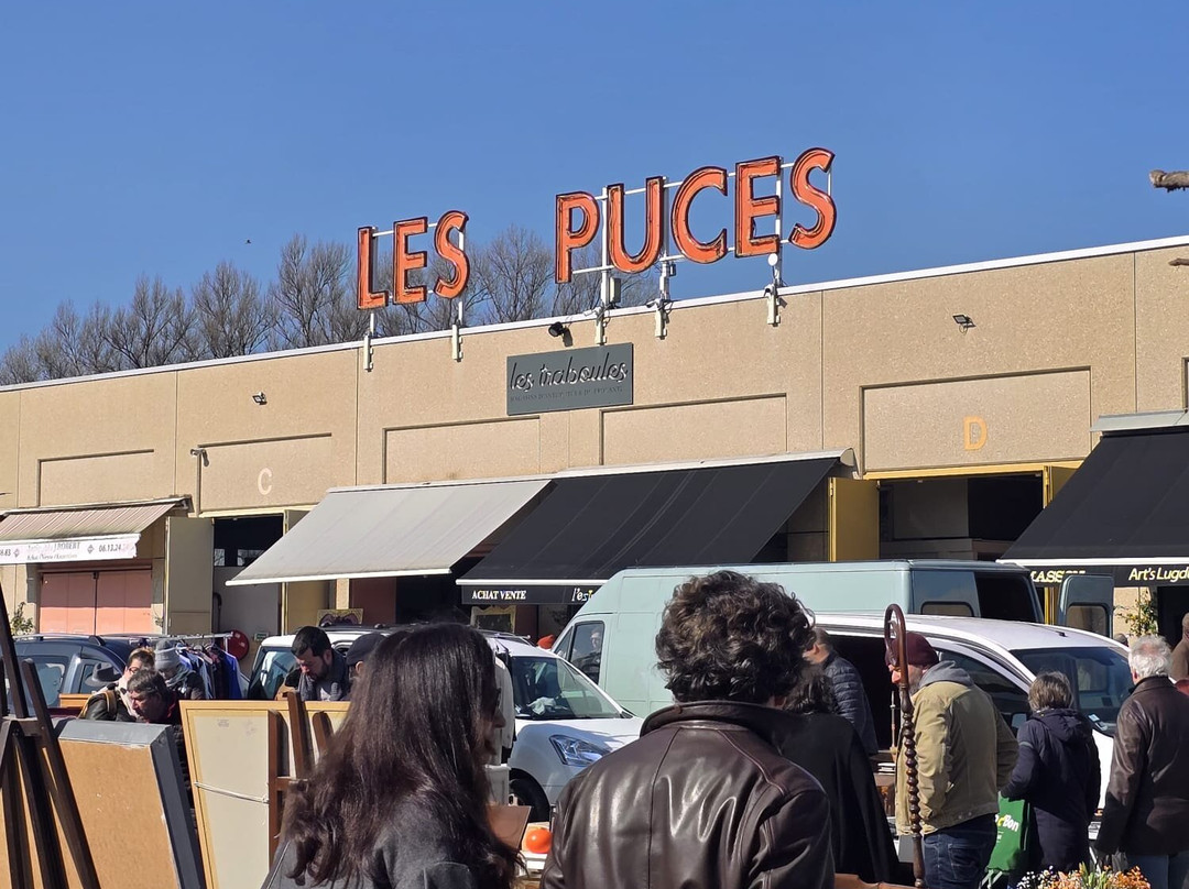 Les Puces du Canal-Villeurbanne必去景点