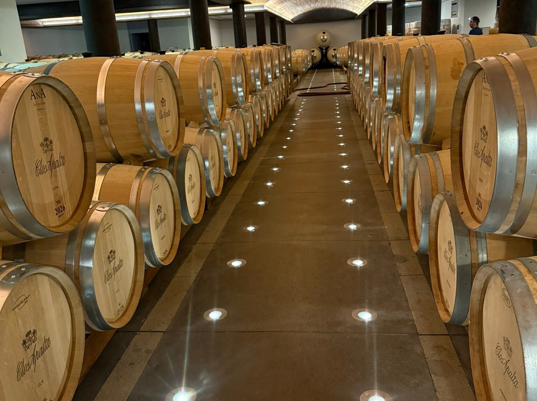 Clos Apalta-圣克鲁斯必去景点
