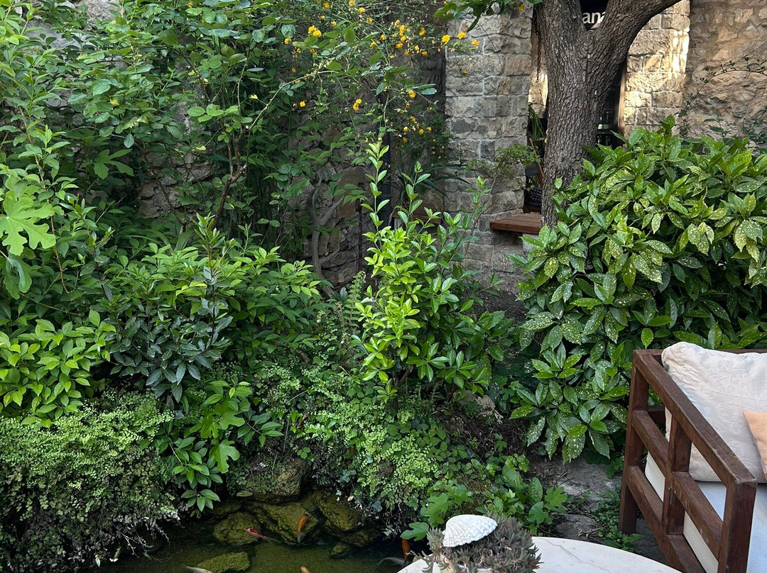 Wine Garden-斯克拉丁必去景点