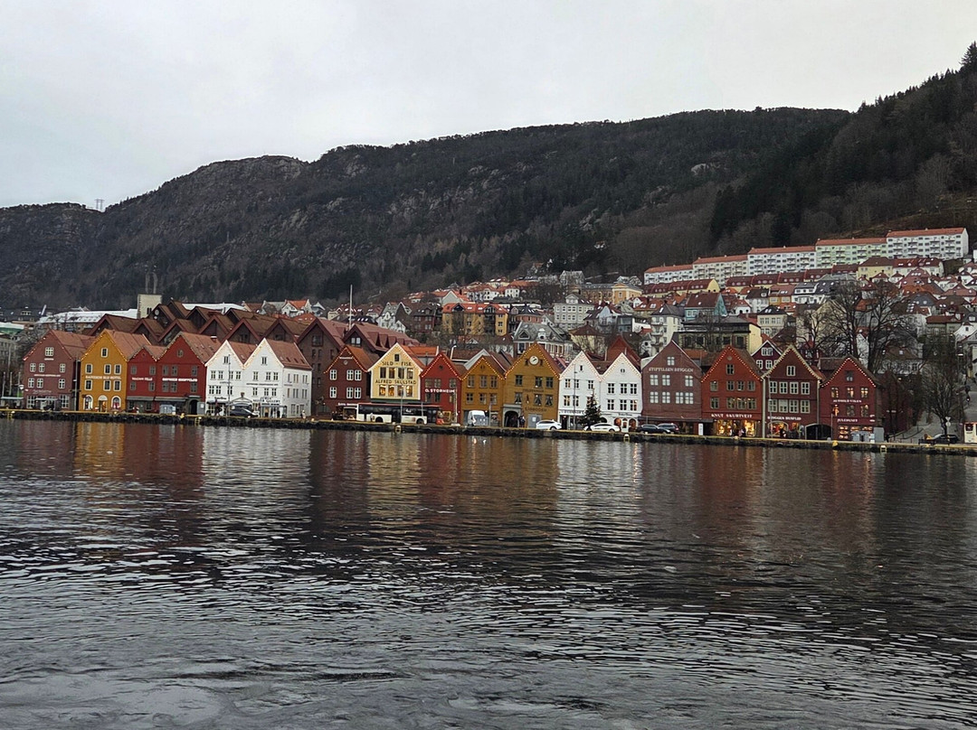 Norway in a nutshell®-卑尔根必去景点