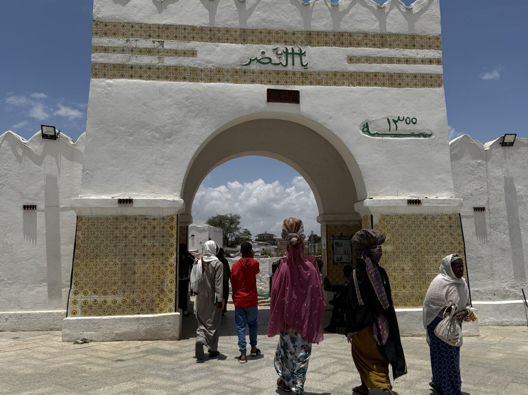 Bini Harar Tours-哈勒尔必去景点