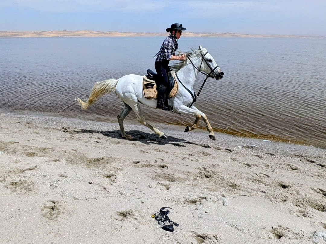 Tunis Stable-Tunis必去景点