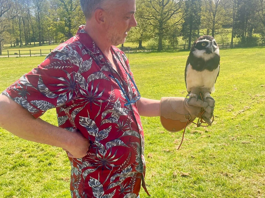 Surrey Hills Falconry-Ockley必去景点