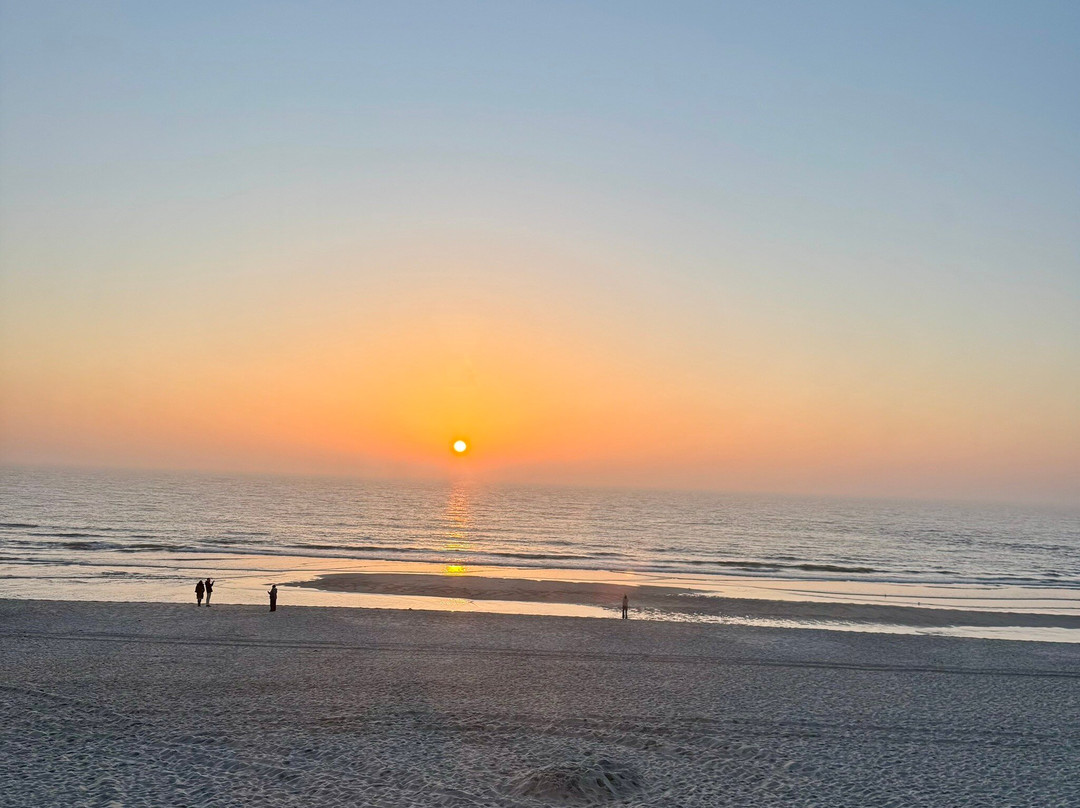 Strandhafer Sylt