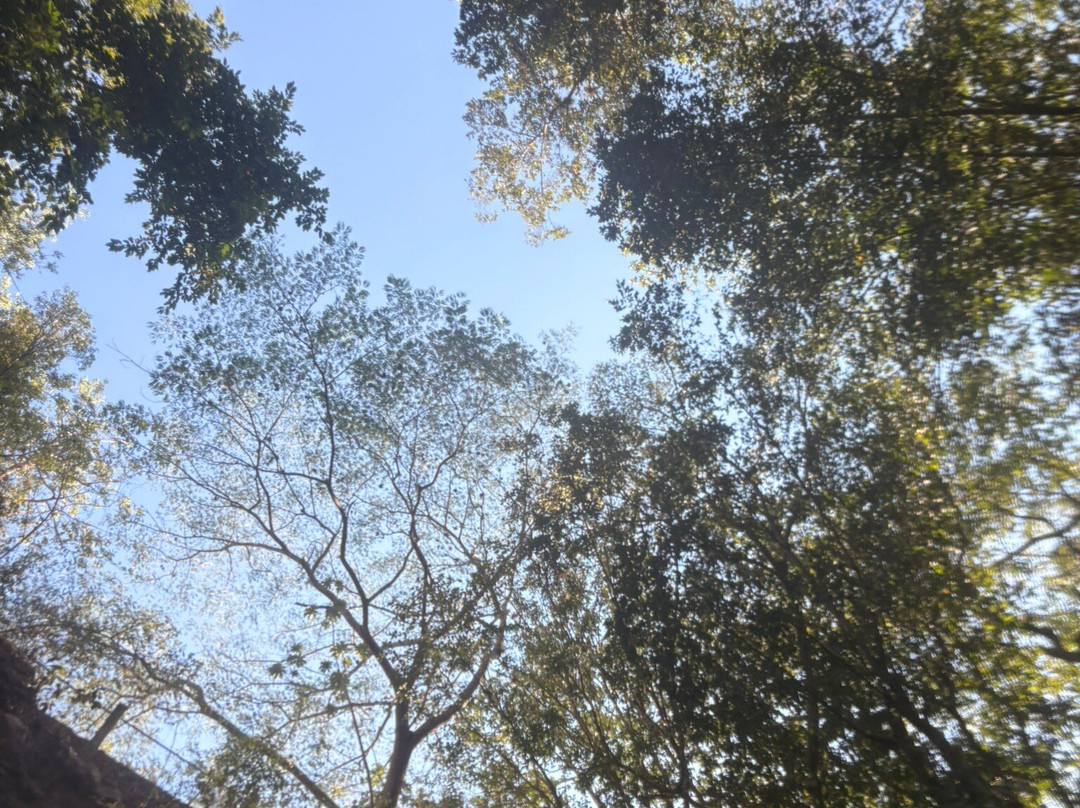 Cenote Lol-Ha-Yaxuna必去景点