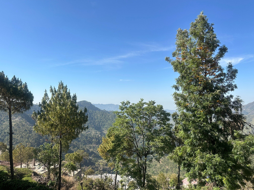 财富精选森林山，卡萨利 - ITC酒店集团成员主图