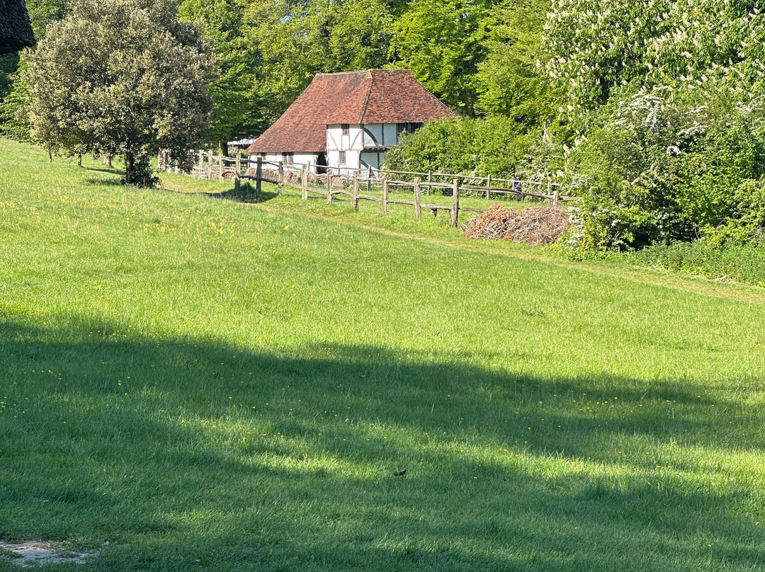 Weald & Downland Living Museum-Singleton必去景点