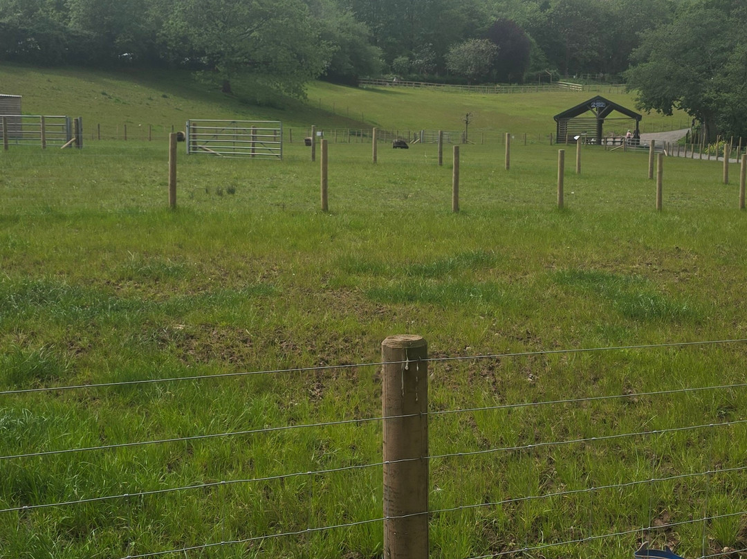 Greenmeadow Community Farm-Cwmbran必去景点