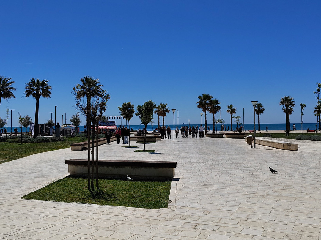 Promenade Park (Shëtitorja "Vollga")-杜勒斯必去景点