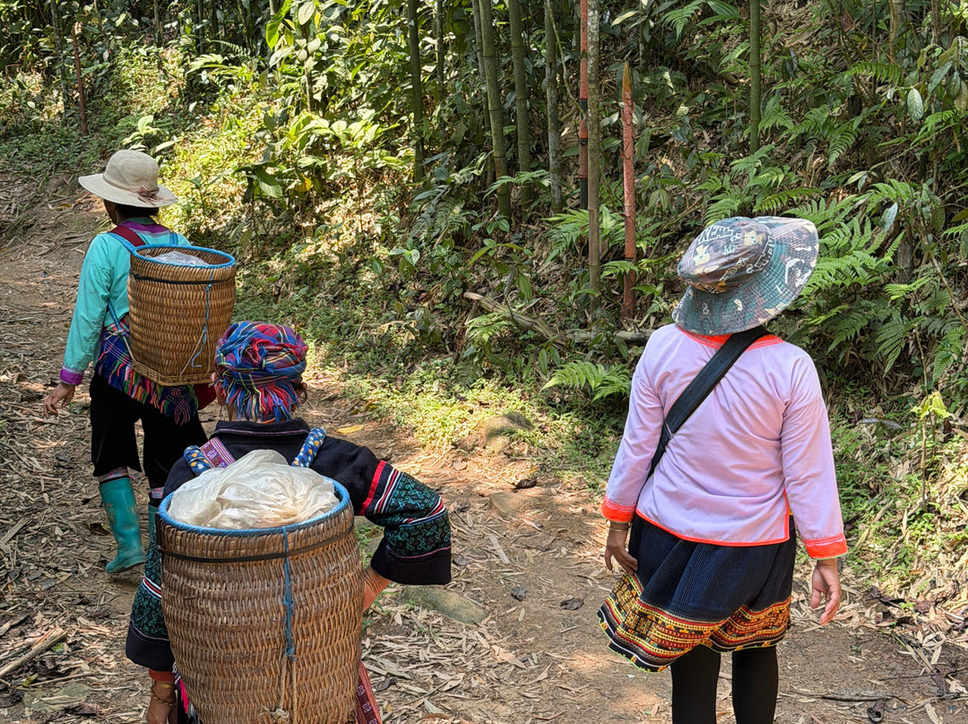 Trekking Tour Sapa-沙巴必去景点