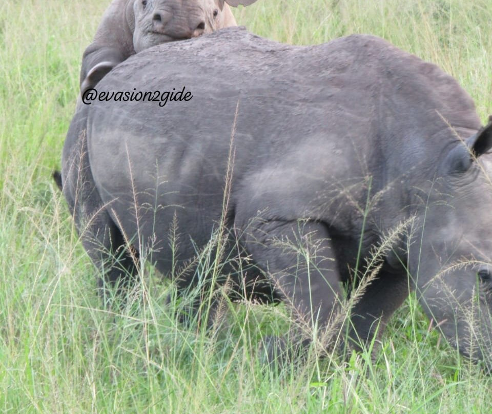 Akagera National Park-Eastern Province必去景点
