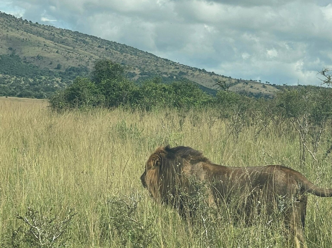 Akagera National Park-Eastern Province必去景点