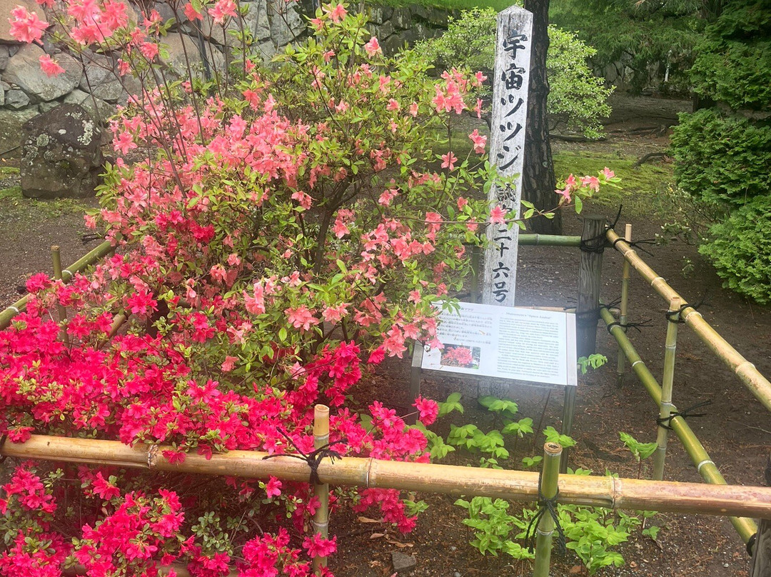 松本城-松本市必去景点