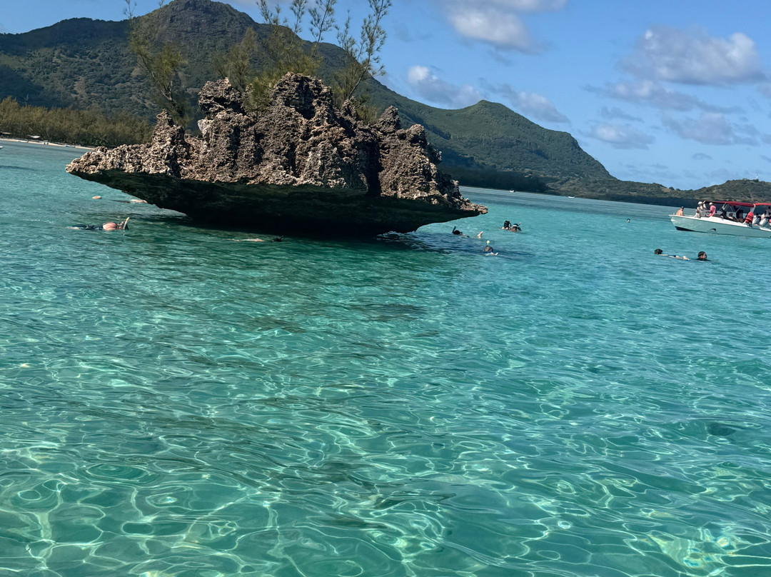 Vitamin Sea Mauritius-黑河必去景点