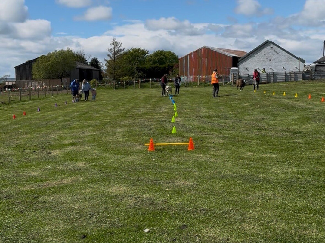 Craigbank Farm-Kilmarnock必去景点