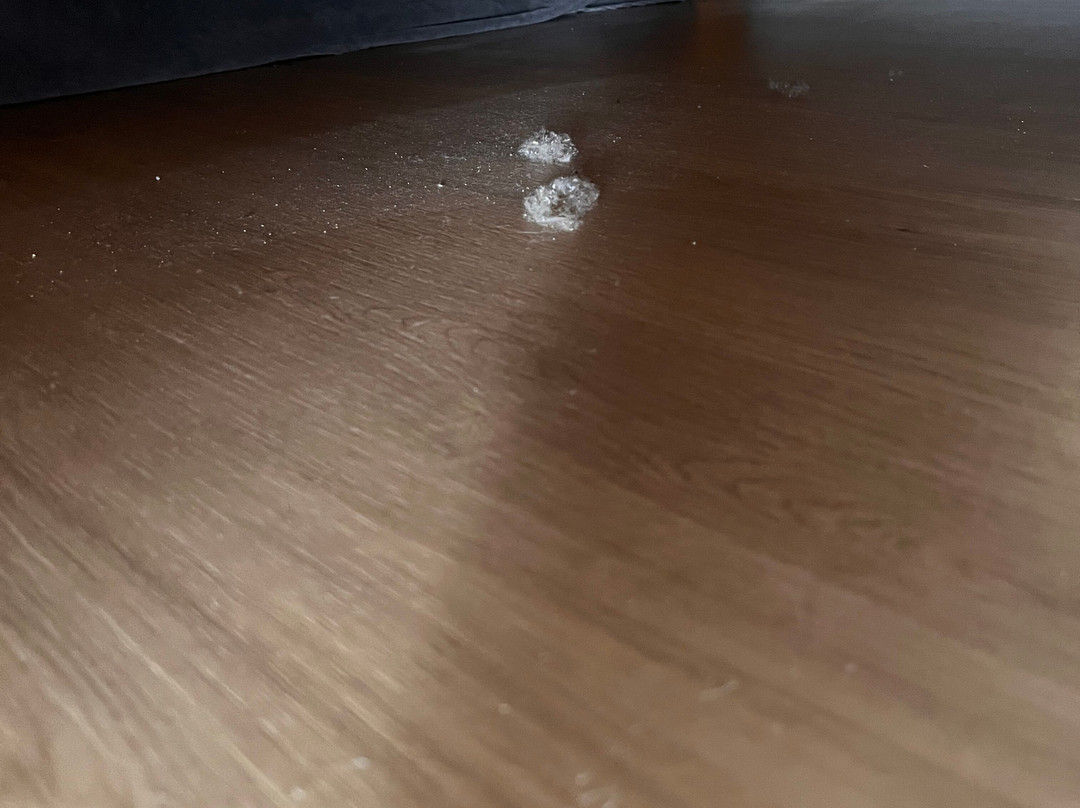 佛拉姆博加勒比酒店主图