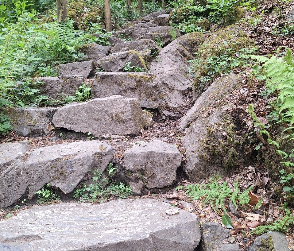 Canonteign Falls-Christow必去景点