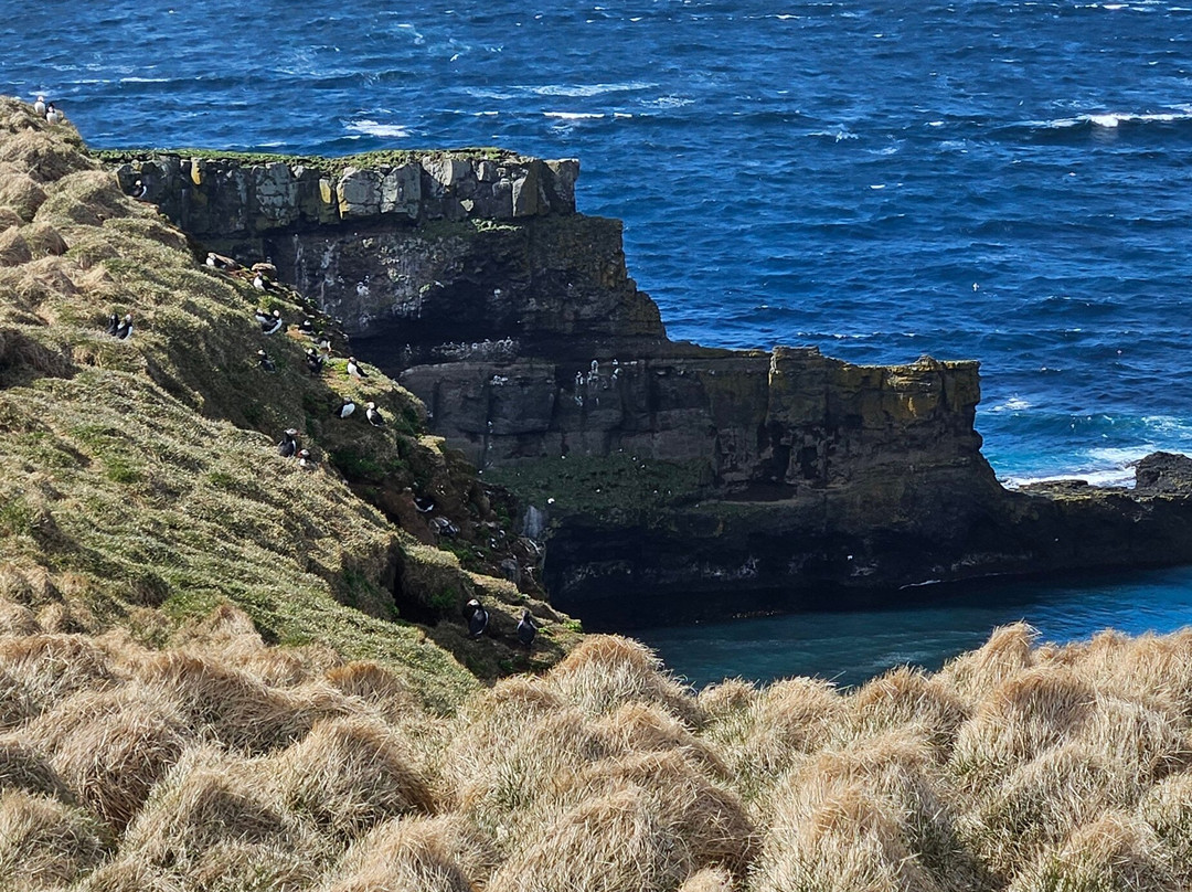 Arctic Trip-Grimsey Island必去景点