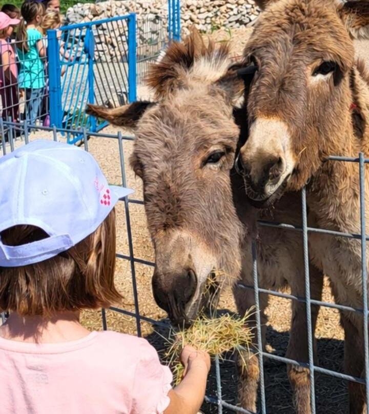 Villa Suzi Donkey Farm & Sea View