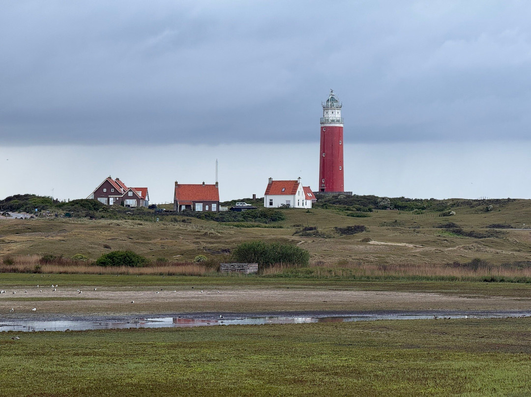 Vuurtoren Texel-De Cocksdorp必去景点