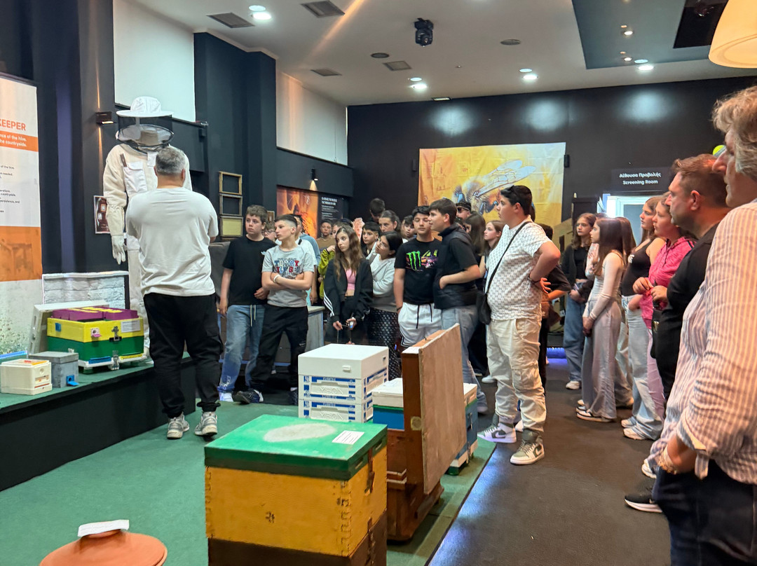 Bee Museum-诺帕克特斯必去景点