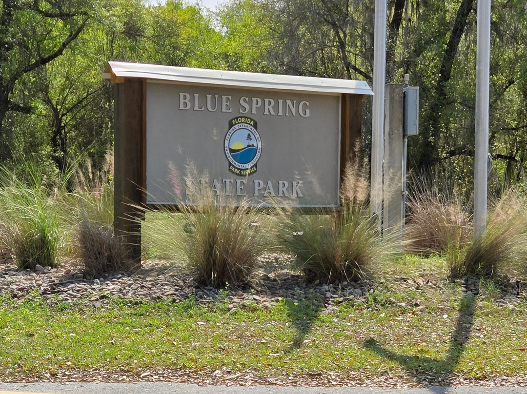 Blue Spring State Park-橙县必去景点