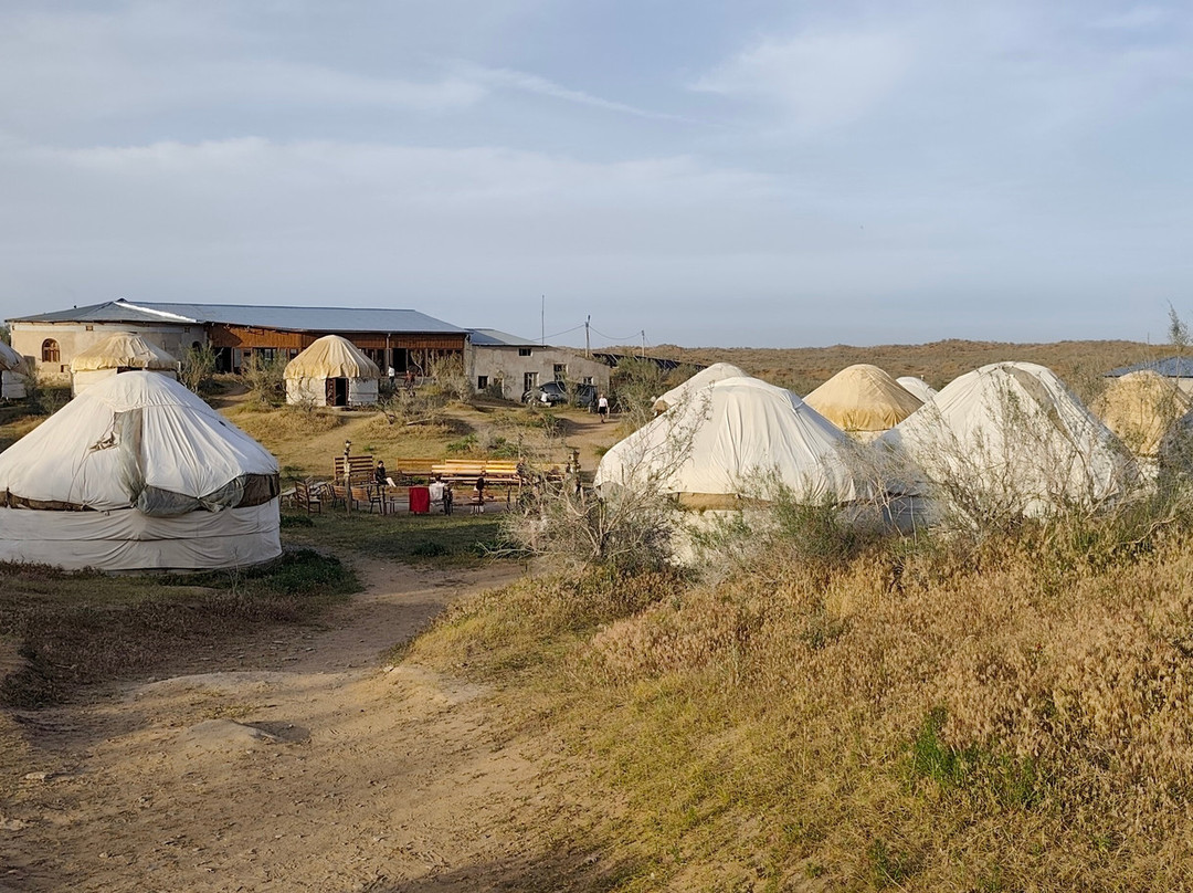 Qizilqum Safari Yurt Camp