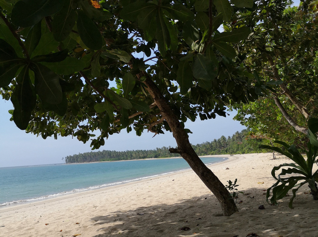 Palawan Ecolodge