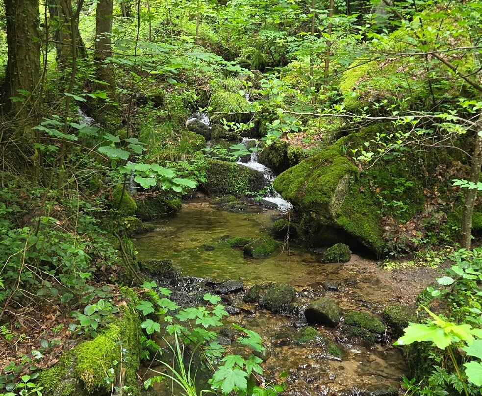 Gaishöll-Wasserfälle-Sasbachwalden必去景点