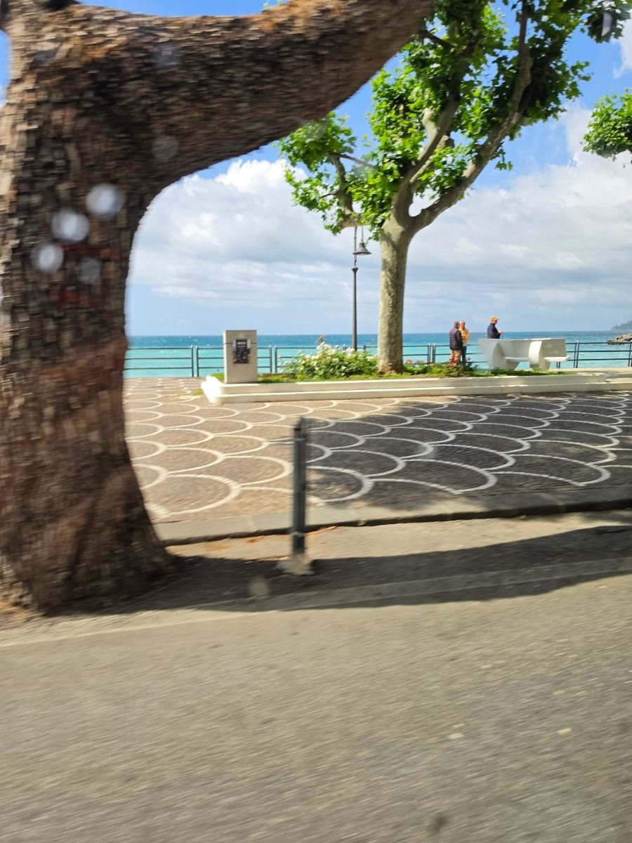圣弗朗西斯科酒店-旅行者