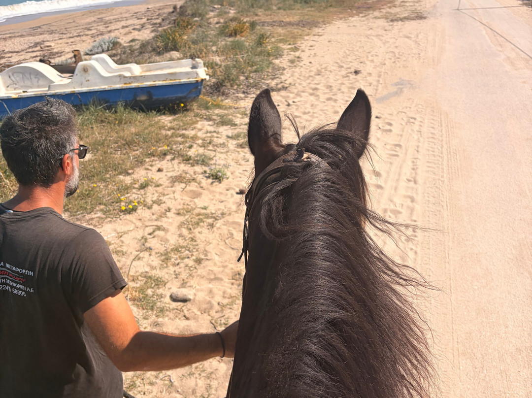 Arena horse riding corfu-Perithia必去景点