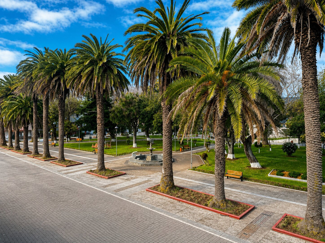 Hostal Plaza Lebu