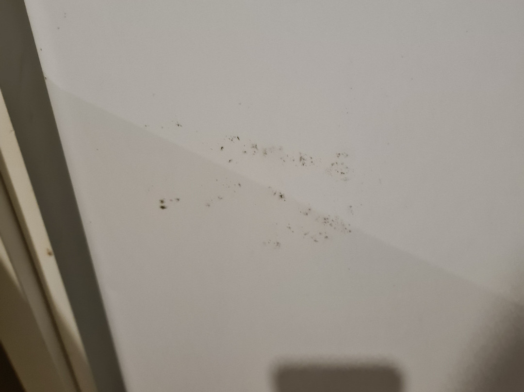 圣塞巴斯蒂昂普拉亚酒店主图