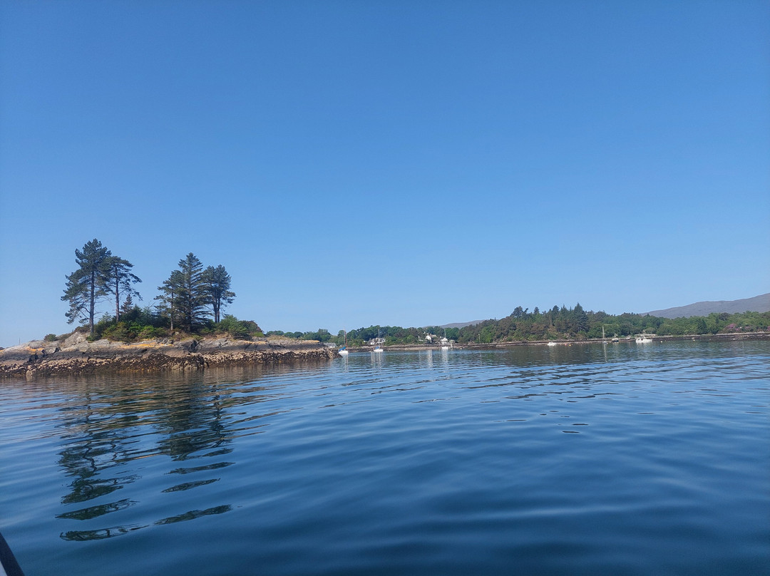 Calum's Seal Trips-Plockton必去景点