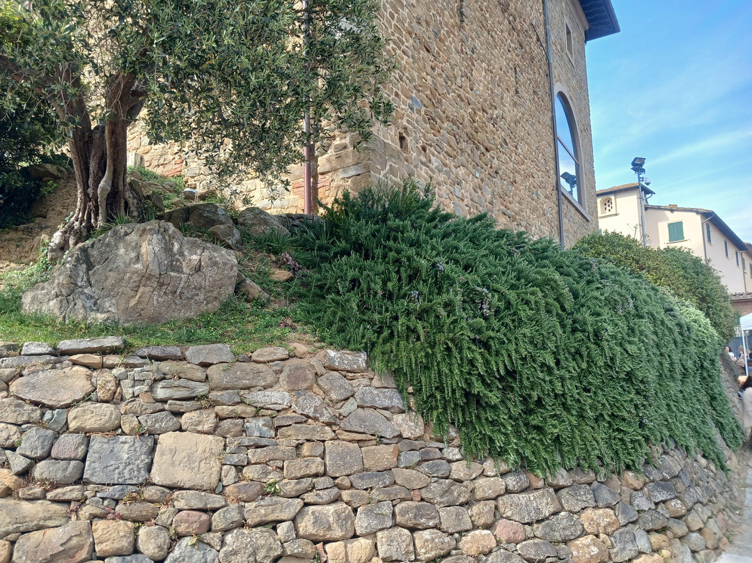 Castello Dei Conti Guidi-芬奇必去景点