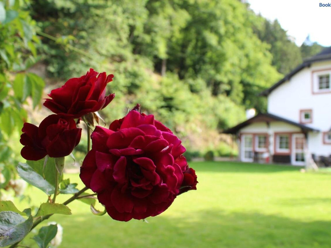 Pension Muscher Bahnhof