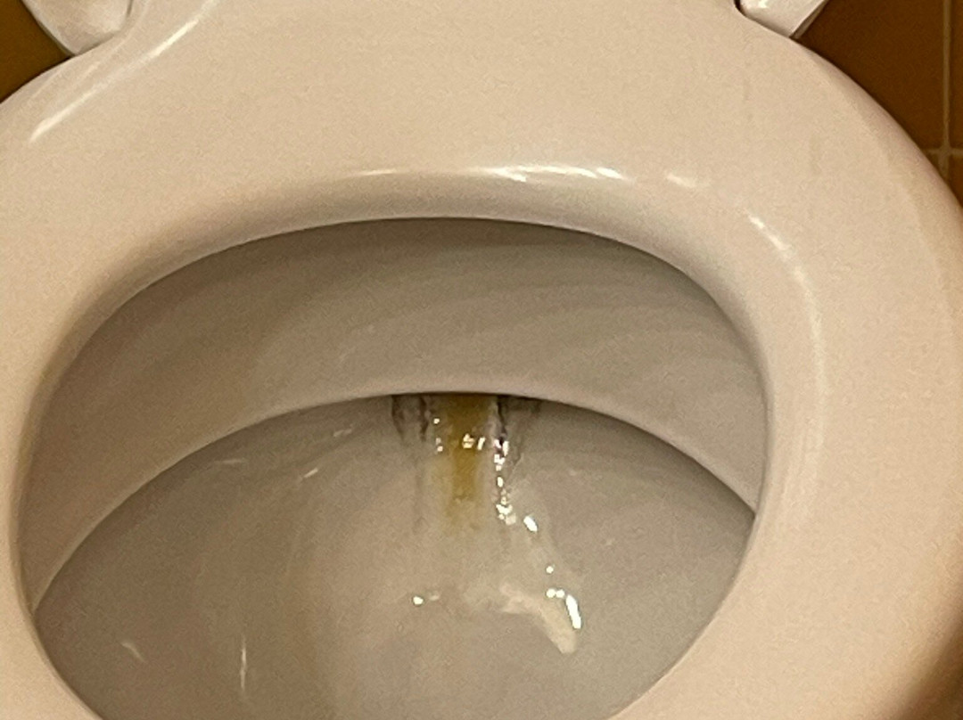 巴黎迪士尼圣达菲酒店®主图