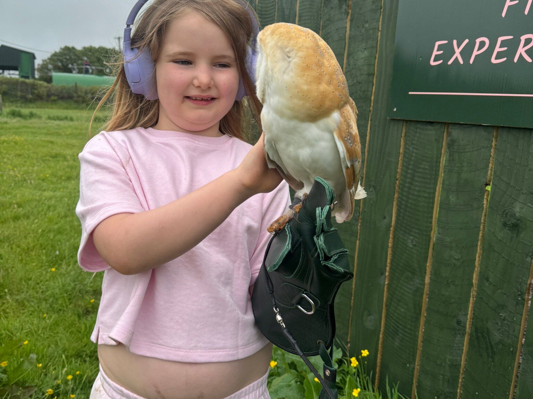 Fiáin Experiences - Wild Atlantic Wildlife Park-丁格尔必去景点