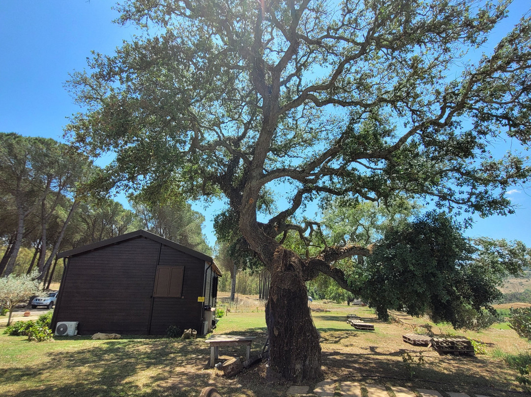 Rami Rural Resort主图