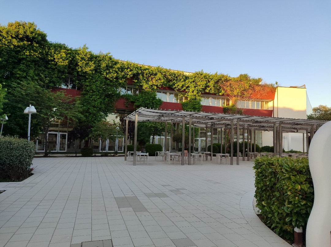 伊思拉保留地-卡拉内4星级酒店主图