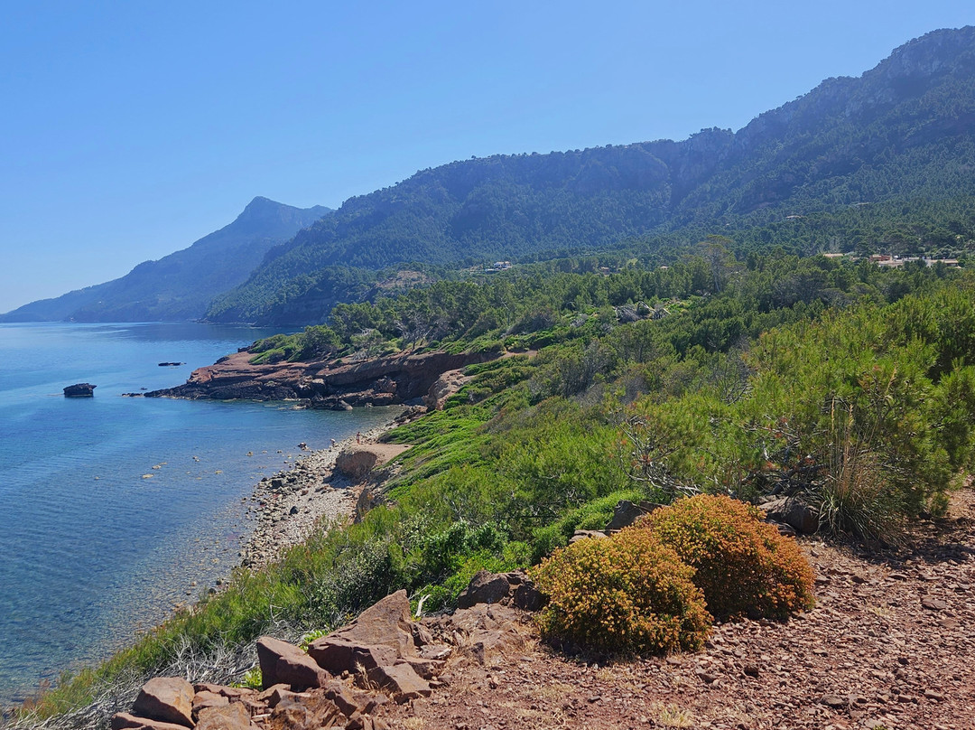 Port des Canonge-Banyalbufar必去景点