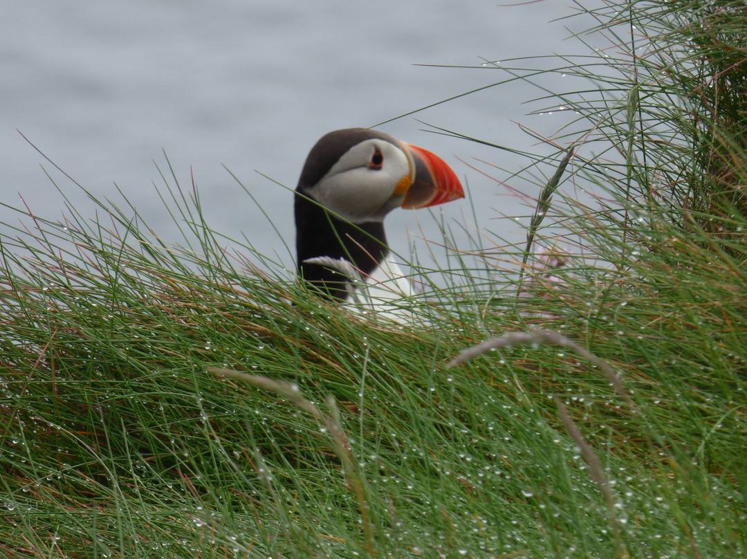 Mull Wildlife Breaks-Salen必去景点