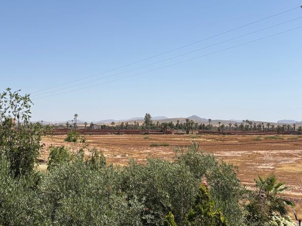 Ag Hôtel & Spa Marrakech-旅行者