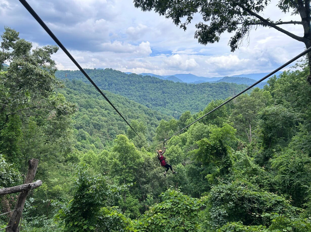 Navitat Canopy Adventures-Barnardsville必去景点