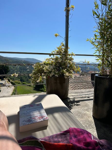 Casas Da Lapa, Nature & Spa Hotel-旅行者