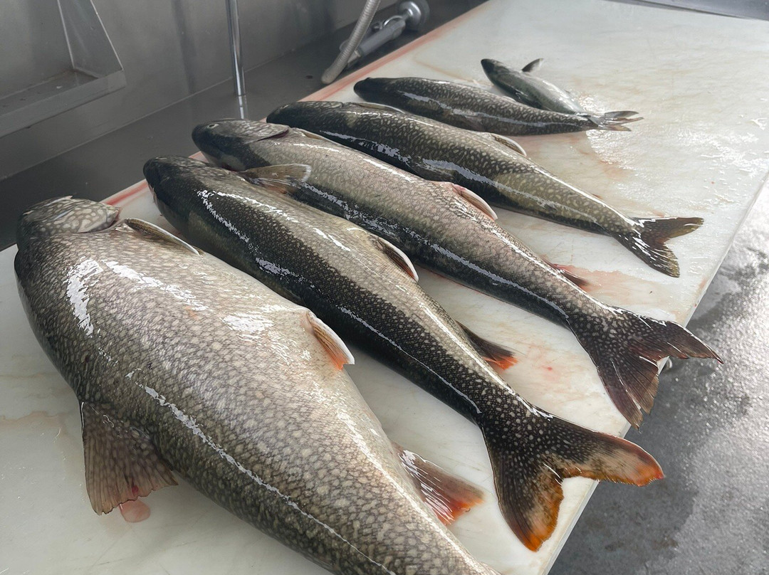 Reelin Leland Fishing Charters-Leland必去景点